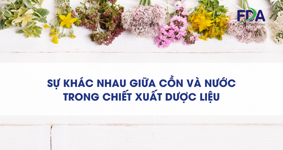 Khám phá sự khác biệt giữa cồn và nước trong chiết xuất dược liệu