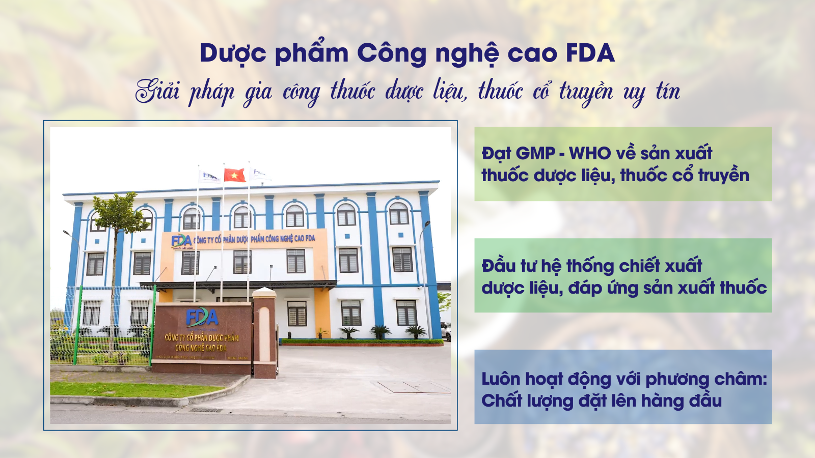 Dược phẩm Công nghệ cao FDA – Giải pháp gia công thuốc dược liệu, thuốc cổ truyền uy tín