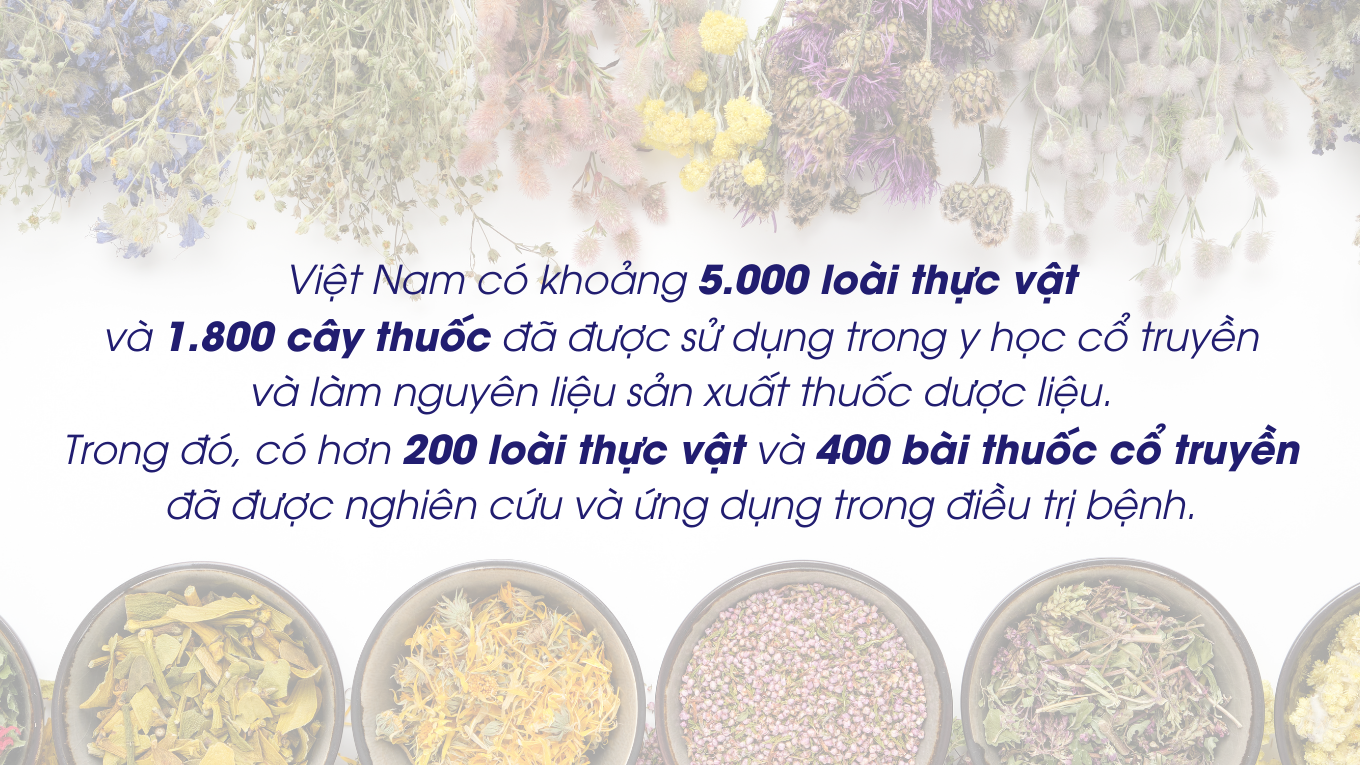 Lợi thế từ nguồn nguyên liệu phong phú